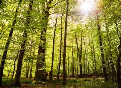 © Tourismus NRW e.V.