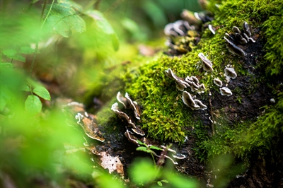 © Daniel Schröder