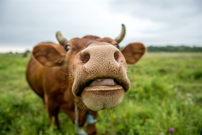 © sergo321 - stock.adobe.com