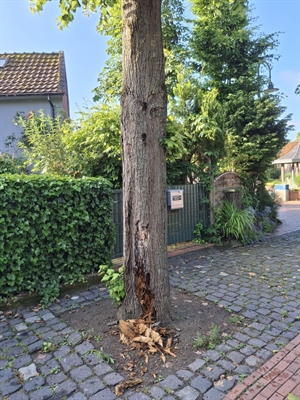 © Stadt Borken