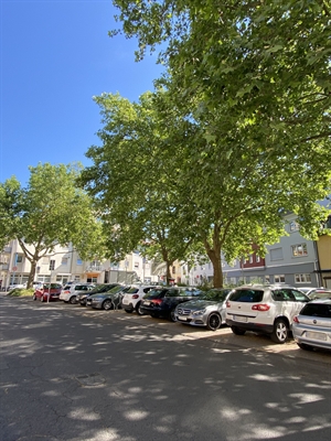 © Stadt Hanau