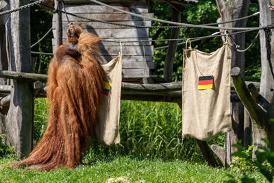© Stadt Dortmund / Lia Staniewski