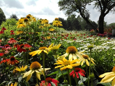 © Westfalenpark