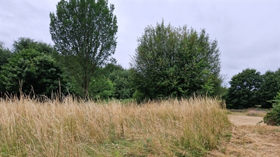 © Simone Steinecke_Zentraler Betriebshof Herten