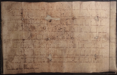 Reproduktion der Magniurkunde im Altstadtrathaus