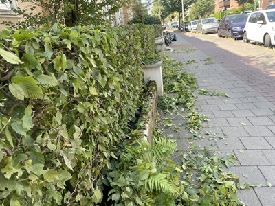 © Stadt Münster / Britta Roski