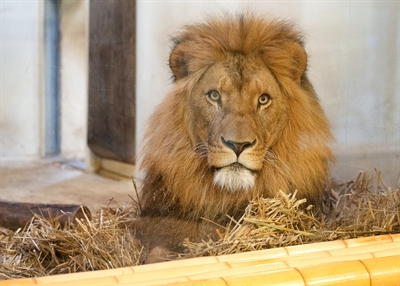 © Zoo Dortmund/Ida Andrae
