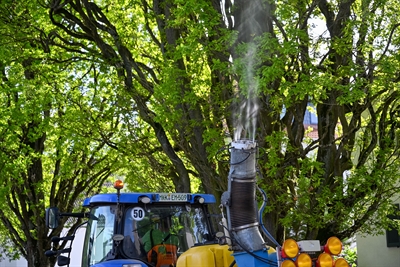 © Stadt Hanau / Moritz Göbel