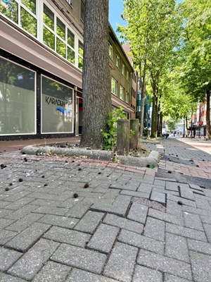 © Foto: Stadt Marl / Pressestelle