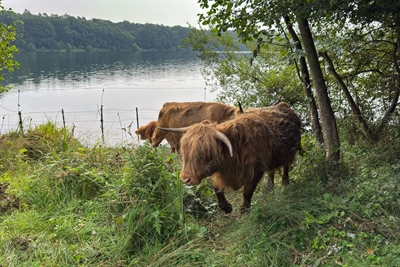 © Monika Nestmann