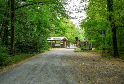 © Stadt Hanau / Moritz Göbel
