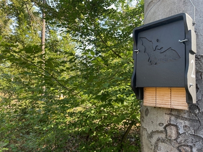 © Stadt Hanau / Umweltzentrum