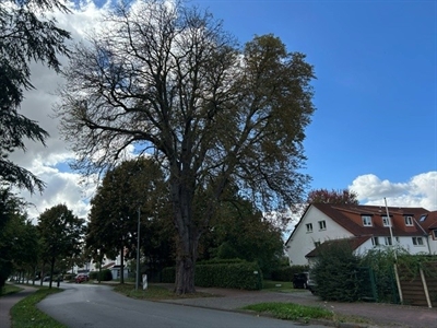 © Stadt Soest