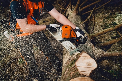 © AdobeStock_553522706