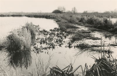 © Stadtarchiv Münster, Fotosammlung, Nr. 23726