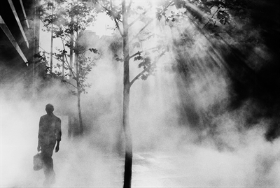 © Foto: Trent Parke