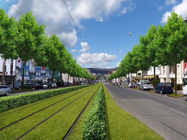 Rasengleis Wilhelmshöher Allee