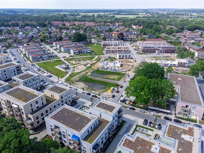 Grundstücke Hedwig-Feibes-Weg 