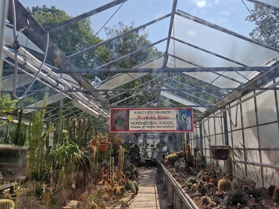 Hagel zerstört Glasdach des Kakteenschauhauses im Botanischen Garten