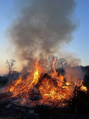 Die Stadt Münster bittet darum, geplante Osterfeuer anzumelden
