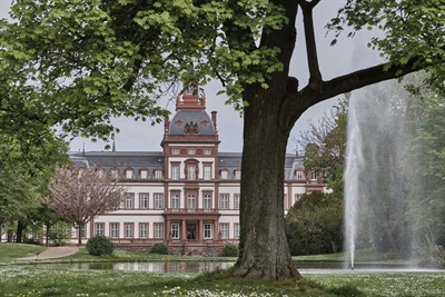 Schlosspark Philippsruhe im Frühling