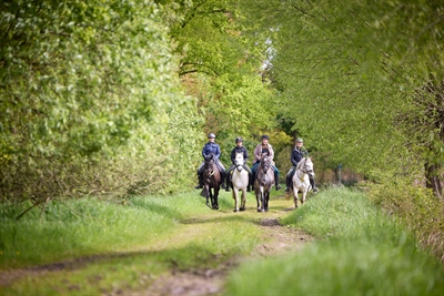 Reiten im Grünen